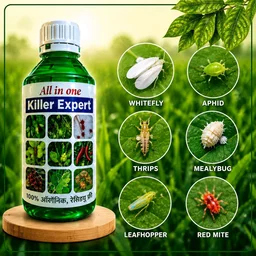 All In One Killer Expert (500ml) - 500 ml × 1 bottel