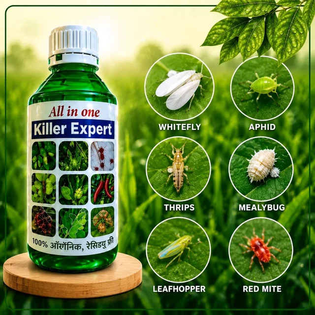 All In One Killer Expert (500ml) - 500 ml × 1 bottel