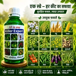 All In One Killer Expert (500ml) - 500 ml × 1 bottel