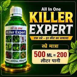 All In One Killer Expert (500ml) - 500 ml × 1 bottel