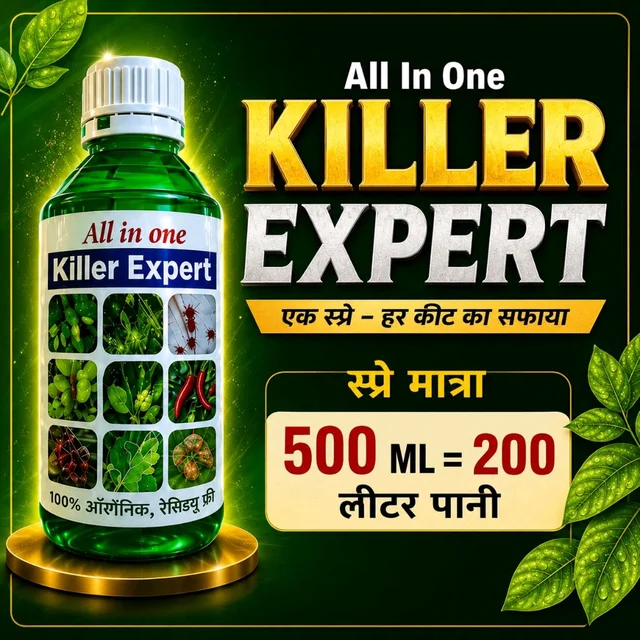 All In One Killer Expert (500ml) - 500 ml × 1 bottel
