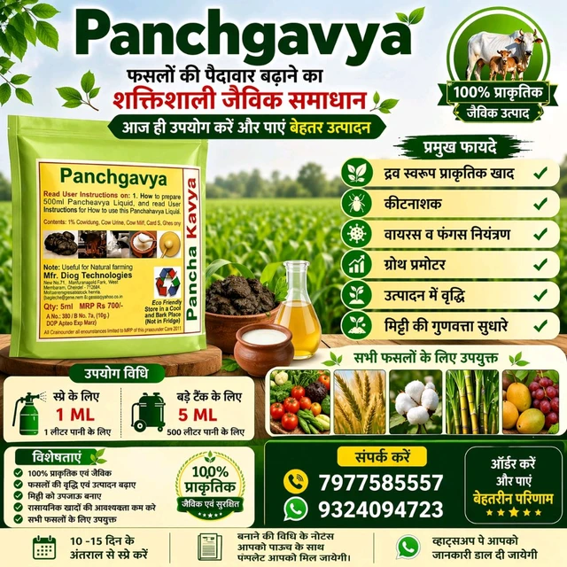 Panchgavya 5 Ml