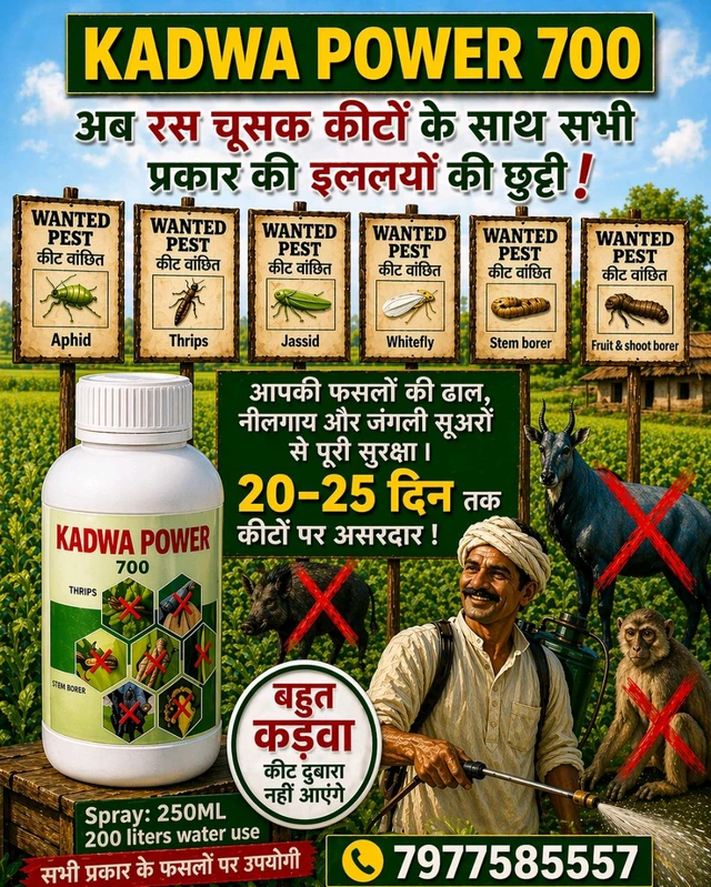Kadwa Power -700 250 Ml