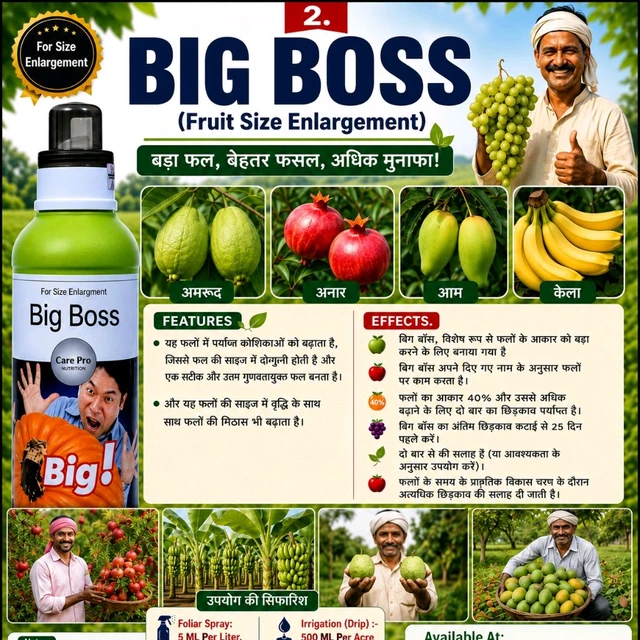 Big Boss - Fruit Size Enhancer(1000ML)