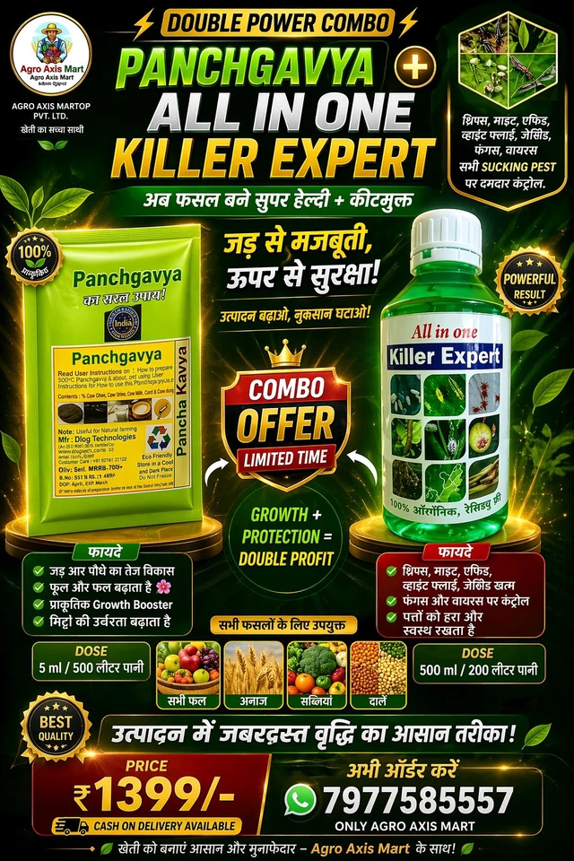 Panchygavya (5Ml) + All In One Killer Expert(500Ml)