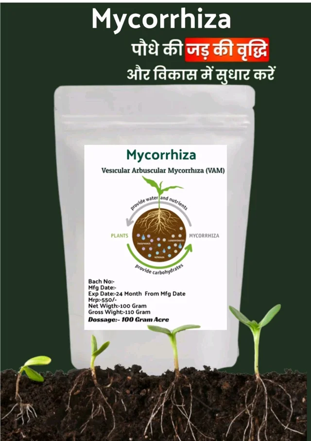 Mycorrhiza (100 Gram)