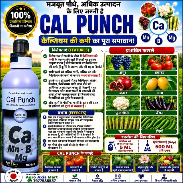 Cel Punch 1000 Ml