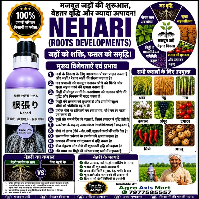 Nehari 1000 Ml
