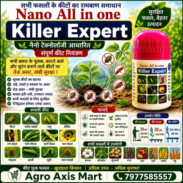 All In One killer Expert (20 Gram)
