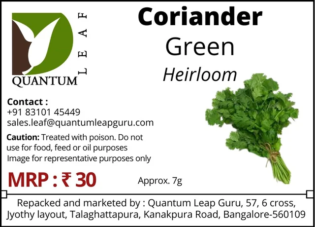 Quantum Leaf Coriander - Regular, Open Pollinated