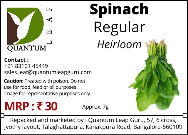 Quantum Leaf Spinach Regular - Green, Open Pollinated