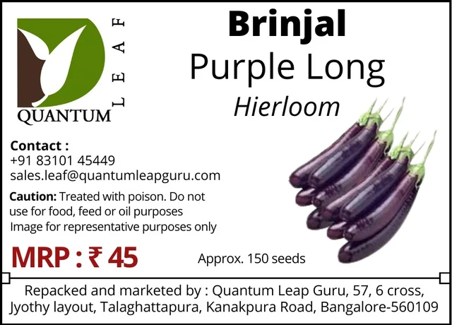 Quantum Leaf Brinjal - Purple Long, Open Polinated
