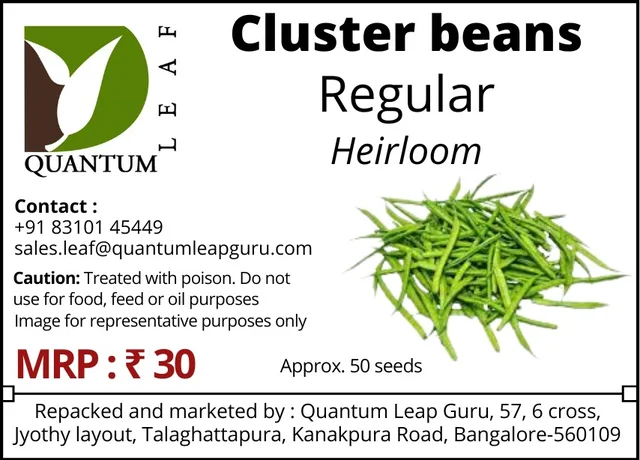 Cluster Beans