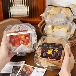 The Baking Curv PVC Bento Lunch Box – Reusable, Leakproof Tiffin for Office, School & Travel - Pack of 10