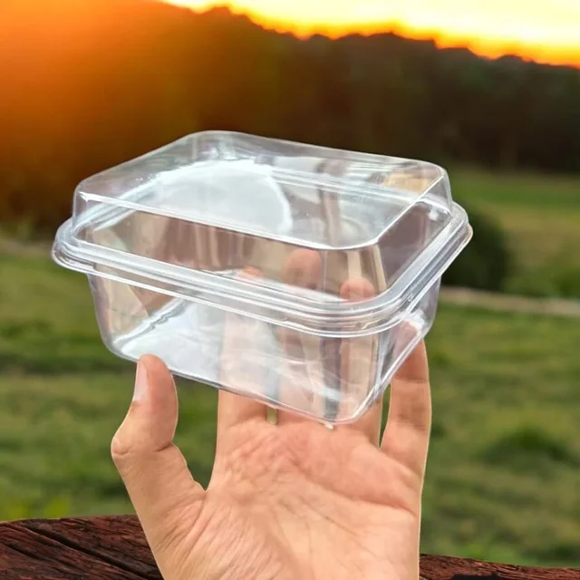 The Baking Curv Rectangle Tiramisu Plastic Container| Sturdy | Sleek - Pack of 5