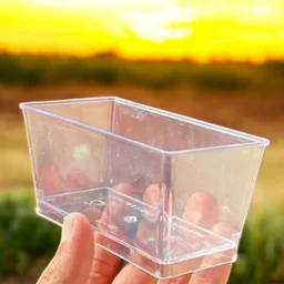 The Baking Curv Rectangle Mousse Cup With Lid |Pudding |Layered Treat - Pack Of 10