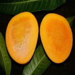 Himsagar Mango (Khirsapati) 500gm - Aam