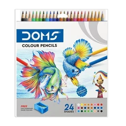 DOMS NA round Shaped Color Pencils Set of 24, Multicolor