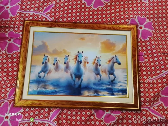 7 Horse Photo Frame Size 12*18