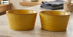 Ceramic Soup & Snack Bowls - Set of 2 - Cream