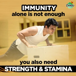 Zandu Shilajitprash - 450 gm