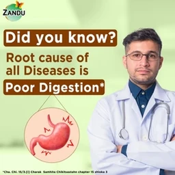 Zandu Digestive Care Juice - 500 ml