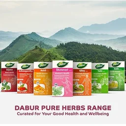 Dabur Shatavari Tablets - 60 Tabs - 60 Tabs
