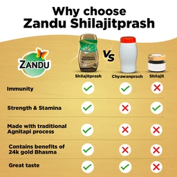 Zandu Shilajitprash - 450 gm