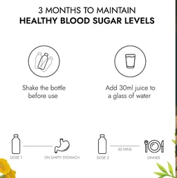 Kapiva Diafree Juice for Diabetes Care | Helps Maintain Healthy Blood Sugar Levels - 1 Ltr.