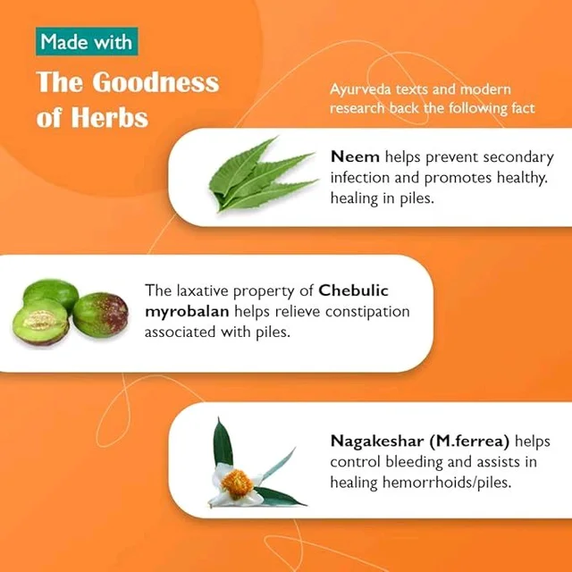 Himalaya Wellness | Pilex Tablet | Piles Treatment | Trusted Piles Treatment|60 Tablets - 60 Tablet