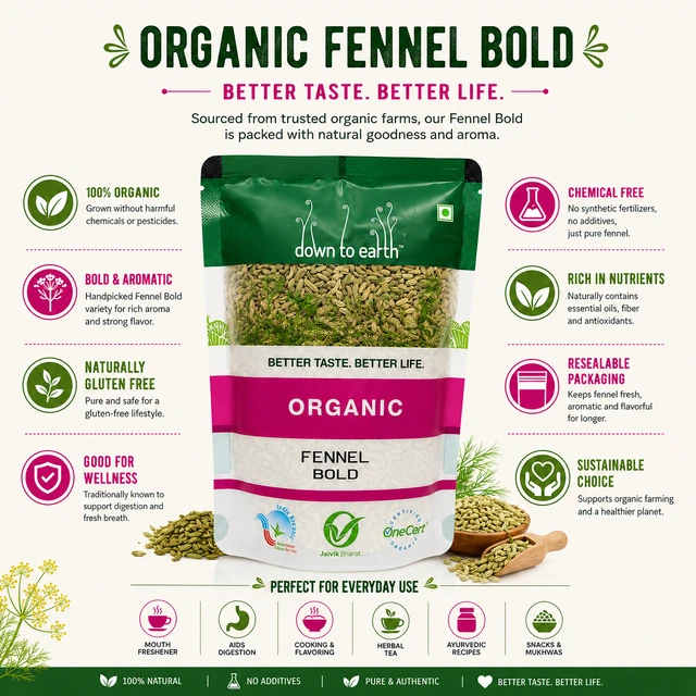 Down To Earth Organic Fennel Bold 250 g
