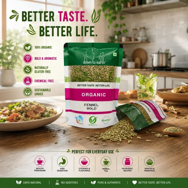 Down To Earth Organic Fennel Bold 100 g