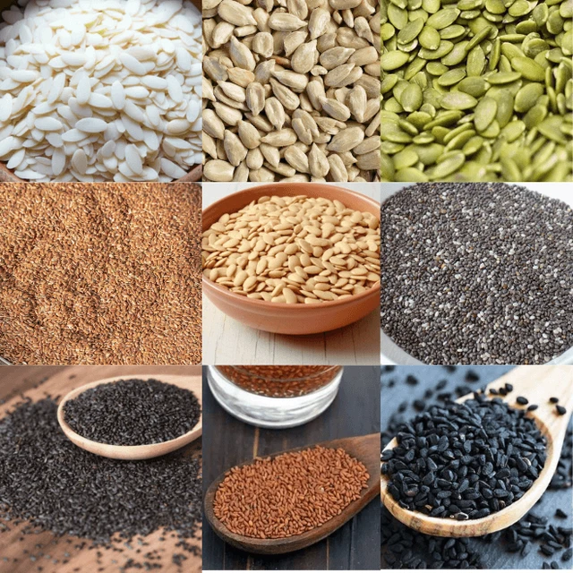 9-in-1 Nutrient-Rich Seed Combo | Sample Pack Collection | Jasmil Spices