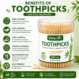 Toothpicks Pack - 500 Pieces