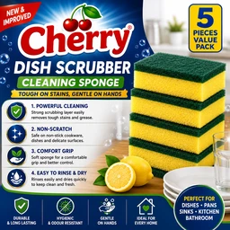 Dish Scrubber / Cleaning Sponge