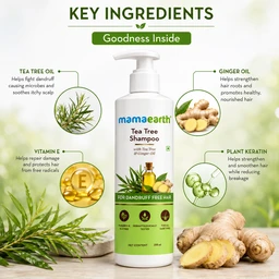 Mamaearth Tea Tree Shampoo - 250 ML