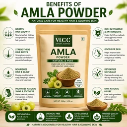 Amla Powder - 100 g