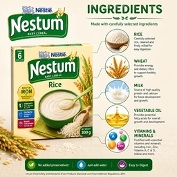 Nestle Nestum Rice - 300 g