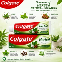 Colgate Herbal Toothpaste - 200 g