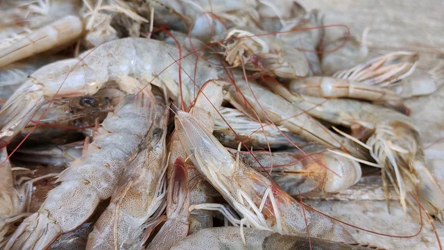 Prawn - 1kg After Cleaning (500-700grms) 