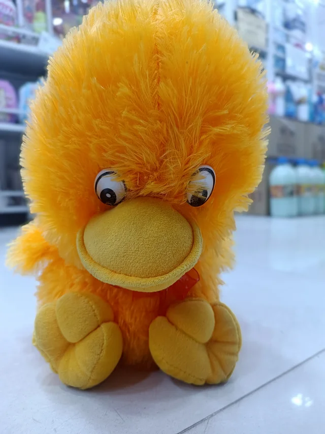 TEDDY 29