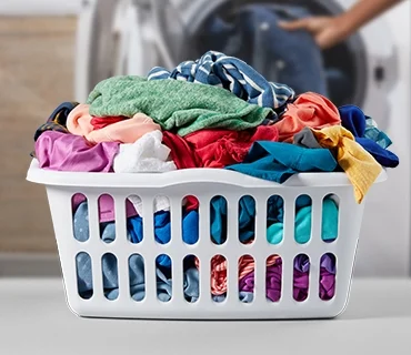 Individual Laundry Service 1 Month Subscription