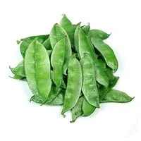 Bean 🫛 ( শিম )