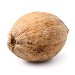 Coconut