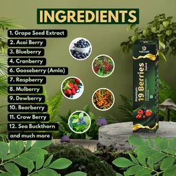 Only Ayurved's 19 Berries Juice (Premium)