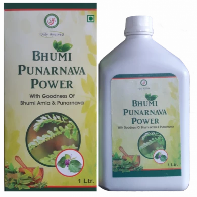 Bhumi Punarava