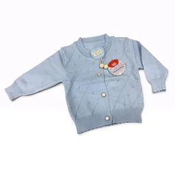 Premium Sweater (S138) - 6-12 month