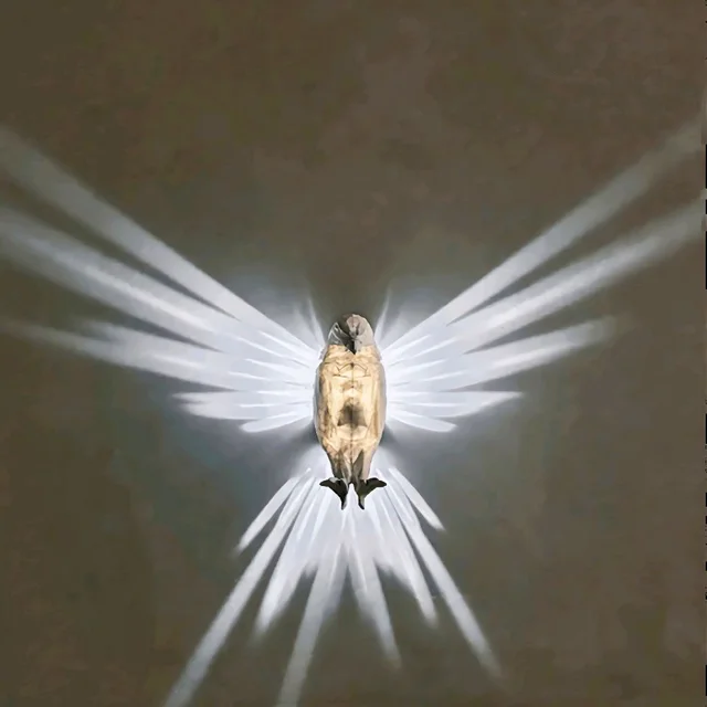 3D EAGLE WALL LIGHT 