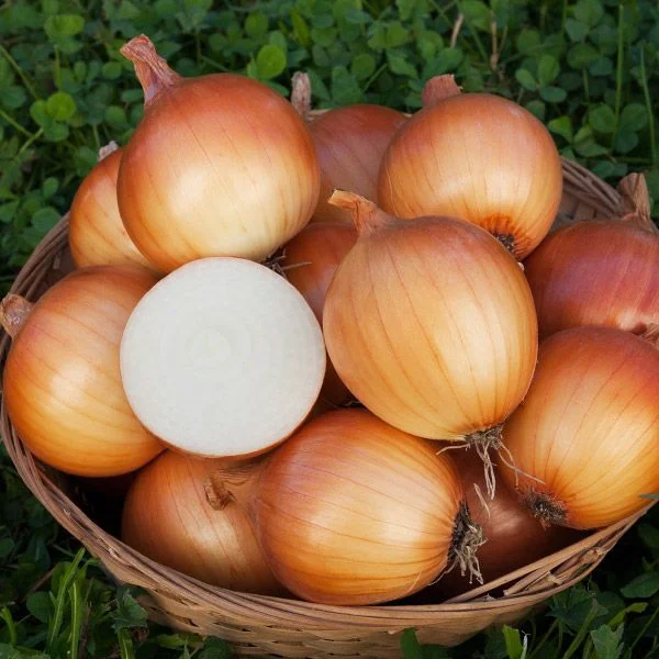 Onion 1kg