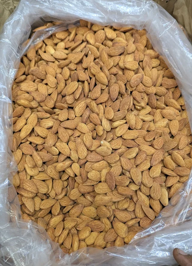 Almond Independent Bold - 10